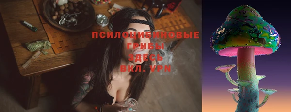 гидра Нижний Тагил