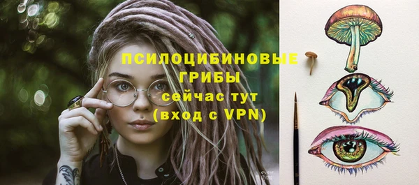 дживик Армянск