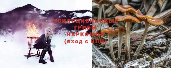 каннабис Аркадак