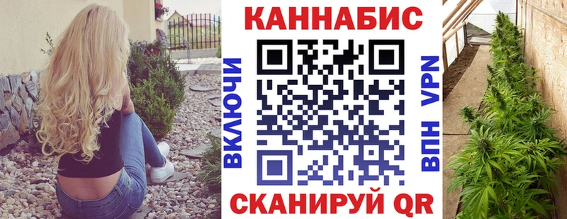 Конопля White Widow даркнет сайт мега сайт Гвардейск